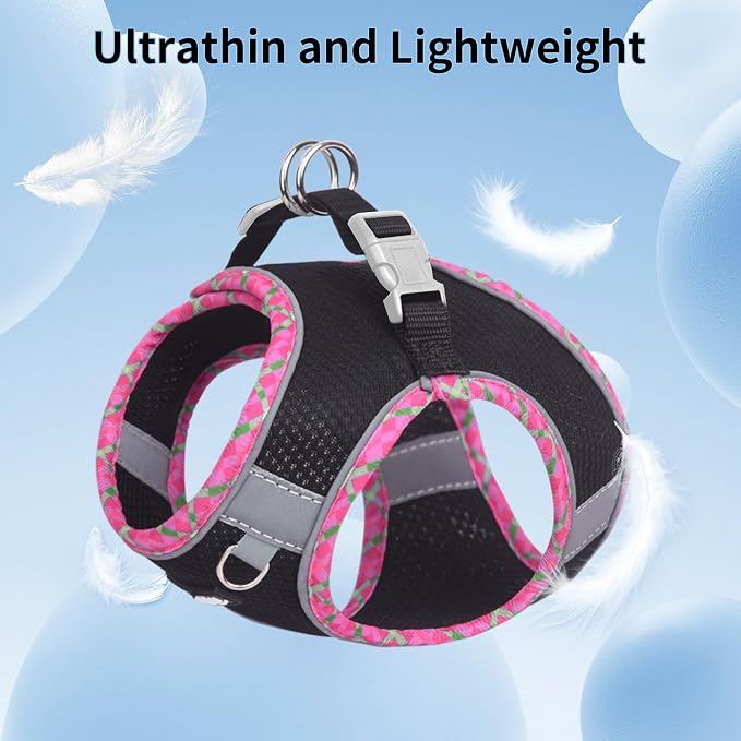 Tiny Dog Harness and Leash Set, Step-in Vest for Puppy, Black XXXS | No Pull Puppy Pet Vest, Breathable Mesh, Reflective Design with High-Stick Magic Tape, Outdoor Use for Chihuahua, Maltese - Image 4