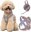 Pawaboo Small Dog Harness and Leash Set, Puppy Harness X-Frame Adjustable | Dog Vest Harness for Small Medium Sized Dogs No Pull No Choke, Soft Breathable Pet Harness for Outing, M, Light Pink Leopard by Pawaboo