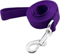 Nylon Dog Training Leash, Traction Rope, 4/5/6 Feet Long, 3/4 Inch 1 Inch Wide, for Small and Medium Dogs (1'' x 4 FT, Purple) by TAIDA