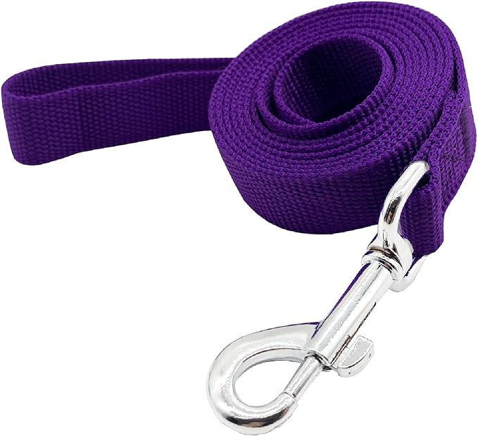 Nylon Dog Training Leash, Traction Rope, 4/5/6 Feet Long, 3/4 Inch 1 Inch Wide, for Small and Medium Dogs (1'' x 4 FT, Purple) by TAIDA