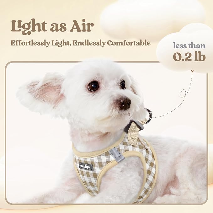 rabbitgoo Dog Harness Small Sized and Leash Set, Step-in Puppy Pet Vest | Light, Soft, Breathable Air Mesh, Easy on and Remove with Hook & Loop, Secure Reflective for Walking, Beige Check M - Image 3
