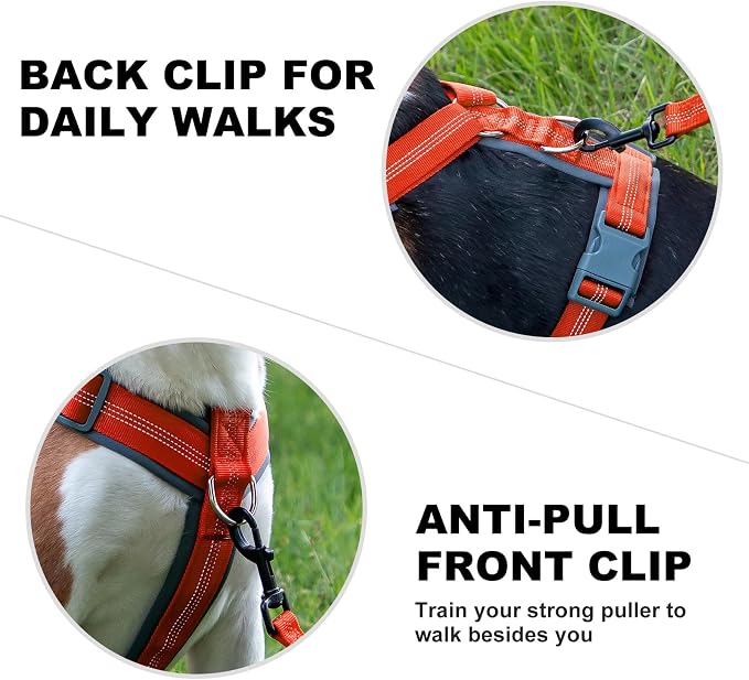 Plutus Pet No Pull Dog Harness, Adjustable Nylon Harness with Soft Padding | Reflective with Front Clip, Heavy Duty for Training and Walking, for Small Medium Large Dogs, Orange, S - Image 4