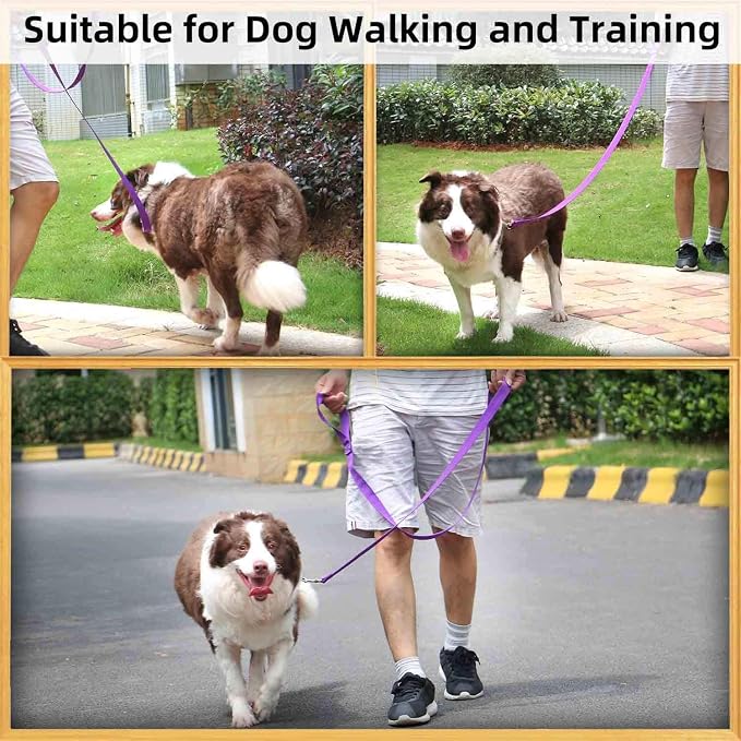 AMAGOOD 6 FT Puppy/Dog Leash, Strong and Durable Traditional Style Leash with Easy to Use Collar Hook, Great for Small, Medium and Large Dogs (1" x 6 ft, Black and Purple (2-Pack)) - Image 3