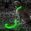 Illumifun LED Dog Leash, 4FT Reflective Light Up Dog Leash, Safety Flashing Dog Lead Light Glow in the Dark (Green Ⅲ) by Illumifun