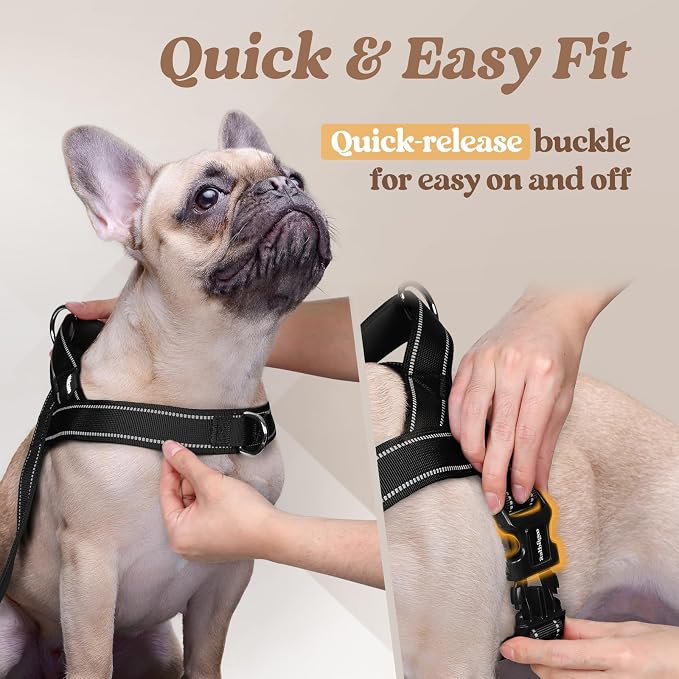 rabbitgoo Dog Harness No Pull, Quick Fit for Medium Sized Dog, Reflective | Chest Adjustable Pet Vest with Soft Padded Handle, No Choke Escape Proof for Walking Training, Black M - Image 4