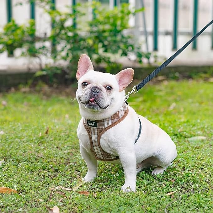PUPTECK Small Dog Harness and Leash Set No Pull for XS XXS Sized Dogs Puppy | Escape Proof No Choke Pet Cat Adjustable Soft Padded Walking Vest - Image 7
