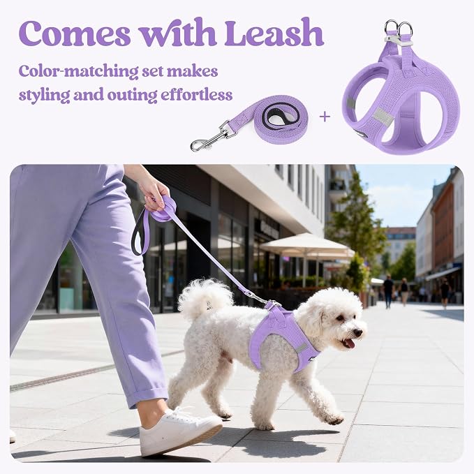 rabbitgoo Dog Harness Medium Sized and Leash Set, Step-in Puppy Pet Vest | Light, Soft, Breathable Air Mesh, Easy on and Remove with Hook & Loop, Secure Reflective for Walking, Light Purple XXL - Image 5
