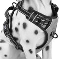 PoyPet No Pull Dog Harness Medium, Reflective Vest with Front Clip & Handle | Easy On/Off, No Choke, Adjustable, 2 Leash D-rings, Soft Padded, Breathable, Oxford, for Walking Training, M, Gray by PoyPet