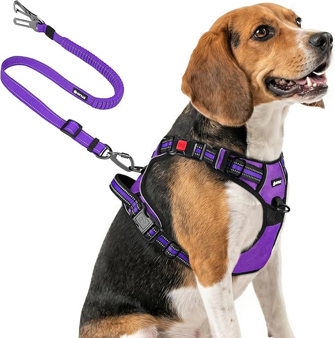 Joytale No Pull Dog Harness & Seat Belt, Easy On 3-Buckle, M, Purple | Front Clip Reduces Pulling, Escape-Resistant Design, Adjustable Fit, Soft Padding for Comfort, Secure Tether for Safer Travel by Joytale