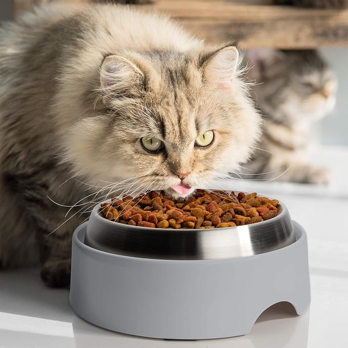 CatGuru Food Table for Cat Bowls, Elevated Feeding Station for Cat Food Bowl, Raised Stand for Pet Food and Water Bowls, Pet Feeder for Indoor Cats, Stress Free Stand for Pet Dishes or Plates (Grey) - Image 5