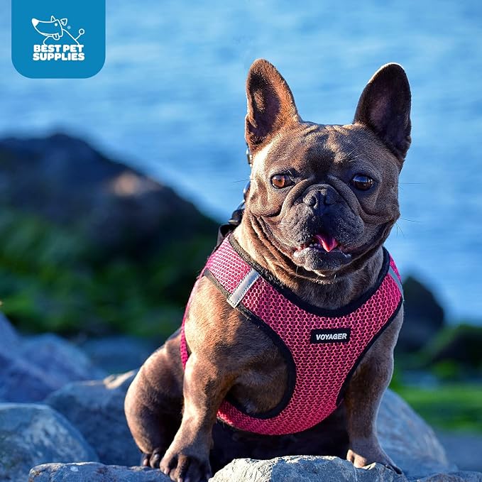 Voyager Step-in Air Dog Vest Harness - Fuchsia 2-Tone, Large | 18- 20.5" in Chest, Reflective Bands, All Weather Breathable Air Mesh, Cats Compatible, Lightweight, Fast Drying - Image 9