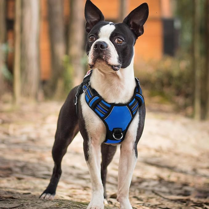 rabbitgoo Dog Harness Small Sized, No Pull 3 Buckles Easy On & Off | Soft Padded, Walking with Control Handle, Adjustable and Reflective, Royal Blue, Small - Image 8