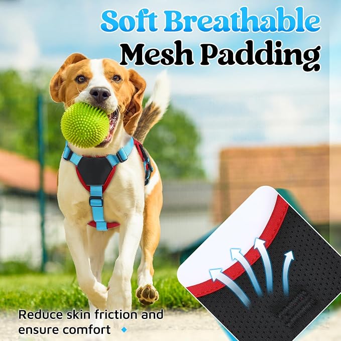 rabbitgoo Escape Proof Dog Harness for Small, No Pull with Lift Handle | No Escape, Full Soft Padded, Reflective Adjustable Vest, Leash Clip for Walking Hiking Training, Sky Blue & Red, Small - Image 6