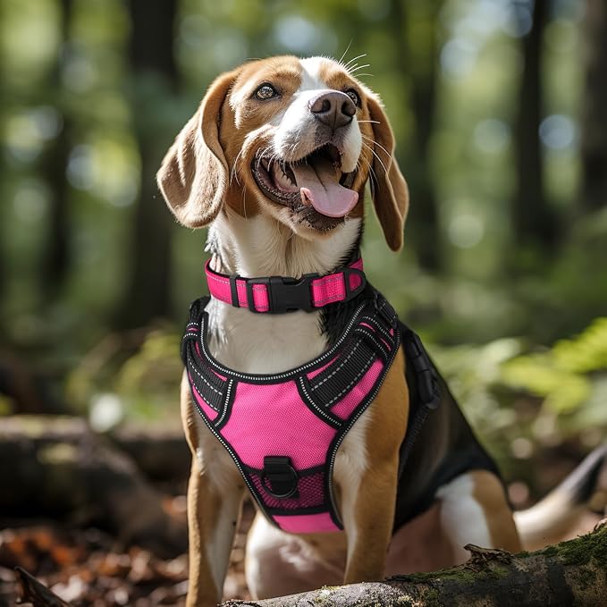 Joytale Reflective Dog Collar, Adjustable Neoprene Padded, Hotpink L | Breathable Nylon for Large Dogs, No Chafing on Walks and Outdoor Hikes, Tear-Resistant Webbing, Metal D-Ring, Night Safety - Image 2