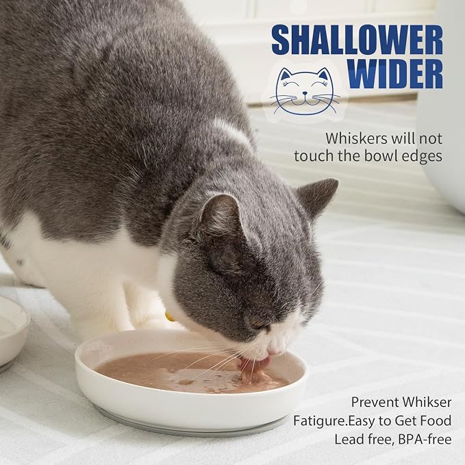 Lusifaco Shallow Wide Cat Food Bowls Anti Whisker Fatigue (Blue, 3 Pack) | 5.9 Inch 2 Height Raised Ceramic Cat Dishes with Bamboo Stand, Flat Pet Water Food Plates Feeding Station for Indoor Kitten - Image 2