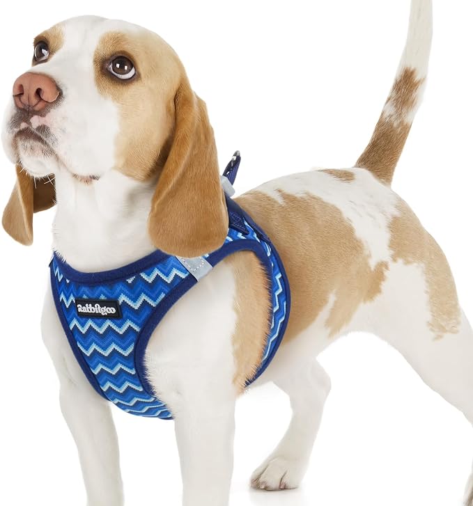 rabbitgoo Step-in Small Dog Harness, Puppy Vest for Small Sized Pet | Easy Put on and off, Lightweight, Soft, Breathable Quick-Dry Air Mesh for Comfortable Secure Walking, Blue Zigzag M by rabbitgoo