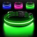 LED Dog Collar, Light Up Dog Collar USB-C Rechargeable Waterproof | 360° Visibility Light Up Dog Collar, Adjustable Nylon Collar with 3 Modes for Small Medium Large Dogs Night Walk Green S by Jewyow
