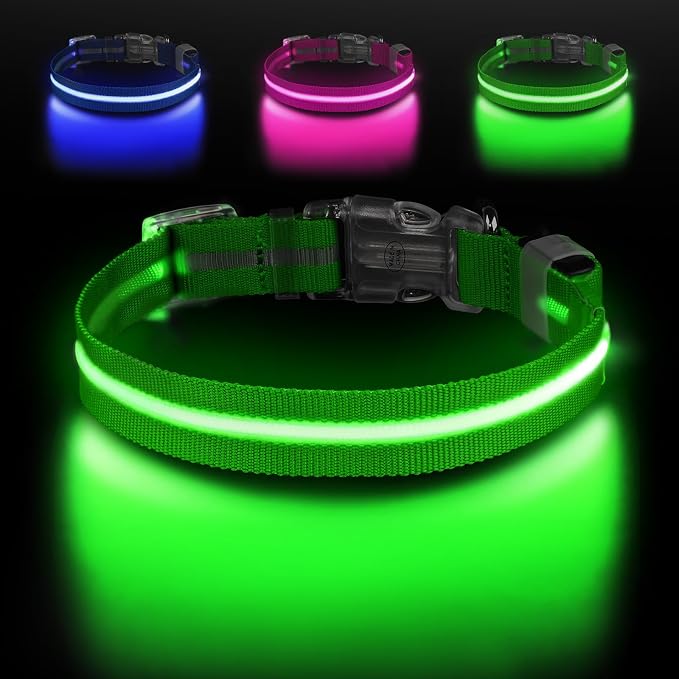LED Dog Collar, Light Up Dog Collar USB-C Rechargeable Waterproof | 360° Visibility Light Up Dog Collar, Adjustable Nylon Collar with 3 Modes for Small Medium Large Dogs Night Walk Green M by Jewyow