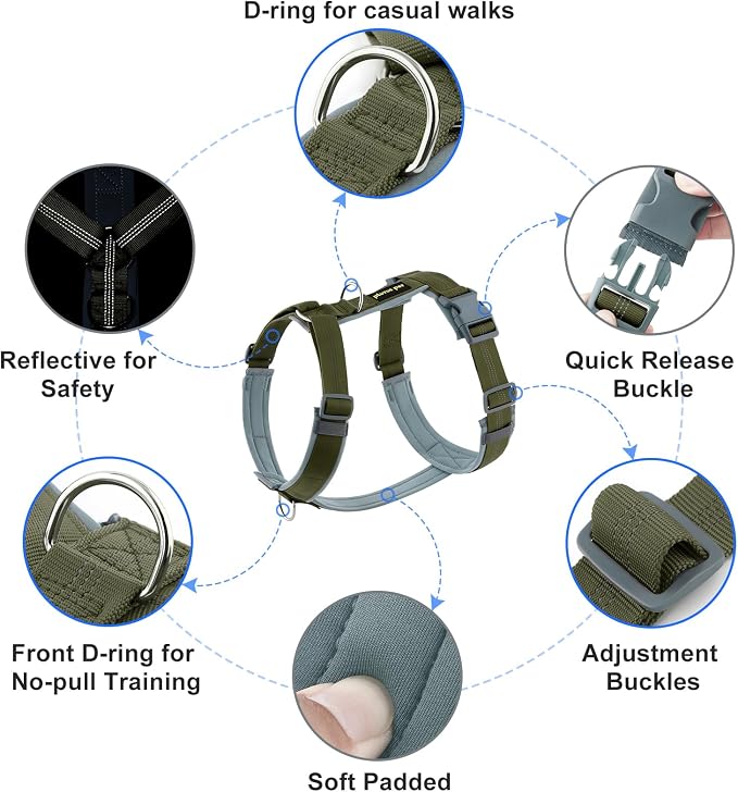 Plutus Pet No Pull Dog Harness, Adjustable Nylon Harness with Soft Padding | Reflective with Front Clip, Heavy Duty for Training and Walking, for Small Medium Large Dogs, Ranger Green, L - Image 2