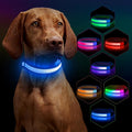 LED Light Up Dog Collar for Night Safety Walks, Blue, M | USB rechargeable, waterproof & pet-safe, 3 lighting modes, long-lasting glow, adjustable S/M/L, soft comfy daily walk fit by Dlitk