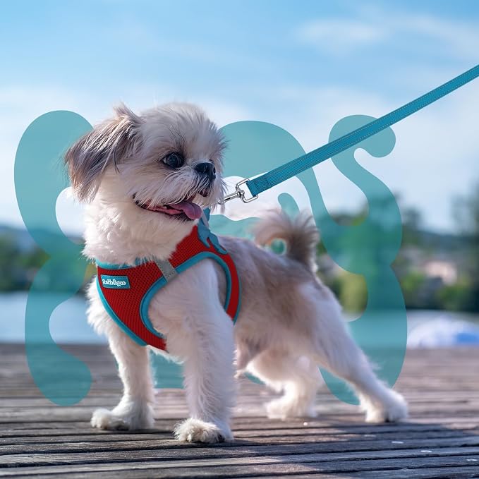 rabbitgoo Dog Harness Small Sized and Leash Set, Step in Soft Vest | Breathable Mesh, Easy Wear with Hook & Loop, Light and Reflective for Walking, Multi-colored, Red & Teal, XS - Image 8