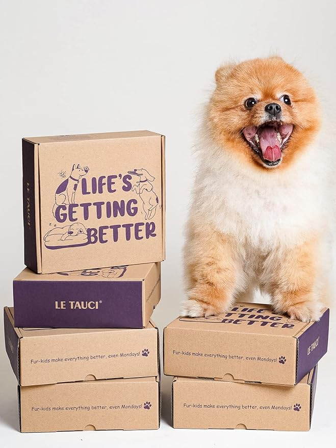 LE TAUCI Ceramic Slow Feeder Dog Bowls Small Breed, 0.6 Cups Dog Food Dish for Fast Eaters, Puzzle Bowl for Small Dogs and Cats,Vortex Blue - Image 3