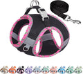 Step in Dog Harness & Leash Set with Reflective Design, Black XXS | No Pull Puppt Pet Vest, Breathable Mesh, Escape-Proof Design with High-Stick Magic Tape, Outdoor Use for Chihuahua, Maltese by AIITLE-FORPETSBETTERLIFE