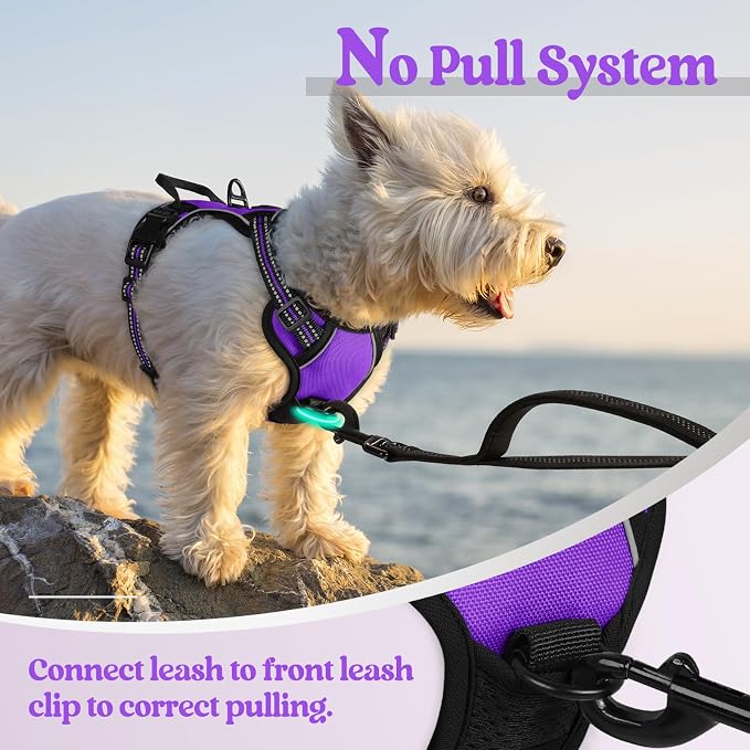 rabbitgoo Dog Harness No Pull with 2 Leash Clips, Adjustable Soft Padded, Reflective Oxford No Choke Pet Vest with Easy Control Handle for Puppy, Purple,XS | No Choke with Handle, Adjustable Soft Padded, Reflective, Easy Control for Walking, Purple, X-... - Image 5