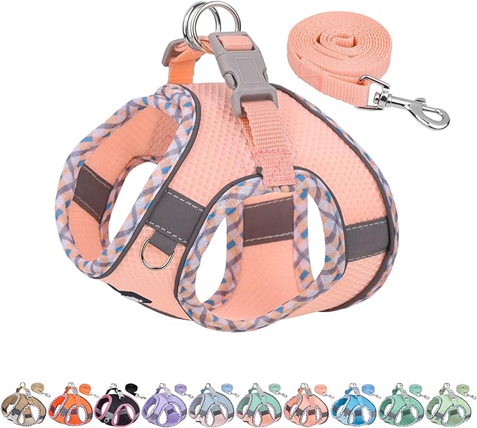 Teacup Puppy Harness with Leash, Escape-Proof Design, Pink S | No Pull Step-in Dog Vest Harness, Breathable Mesh, Reflective Design with Magic Tape, Outdoor Use for Poodles, Pomeranians by AIITLE-FORPETSBETTERLIFE