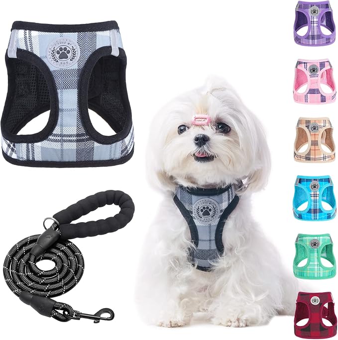 BEAUTYZOO Small Dog Harness and Leash Set, No Pull Puppy Pet Vest- Gray, S | Step-in Easy On/Off, All Season Breathable Mesh,Escape-Proof Hook & Loop,Lightweight Reflective,No Choke,Easy Walking Control by BEAUTYZOO