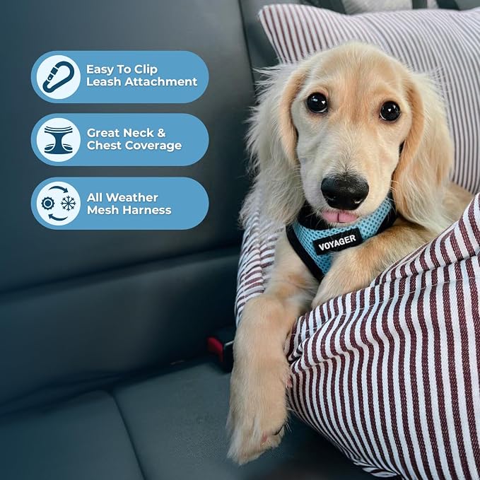 Voyager Step-in Air Dog Vest Harness - Baby Blue/Black Trim, Medium | 16 - 18" in Chest, Reflective Bands, All Weather Breathable Air Mesh, Cats Compatible, Lightweight, Fast Drying - Image 3