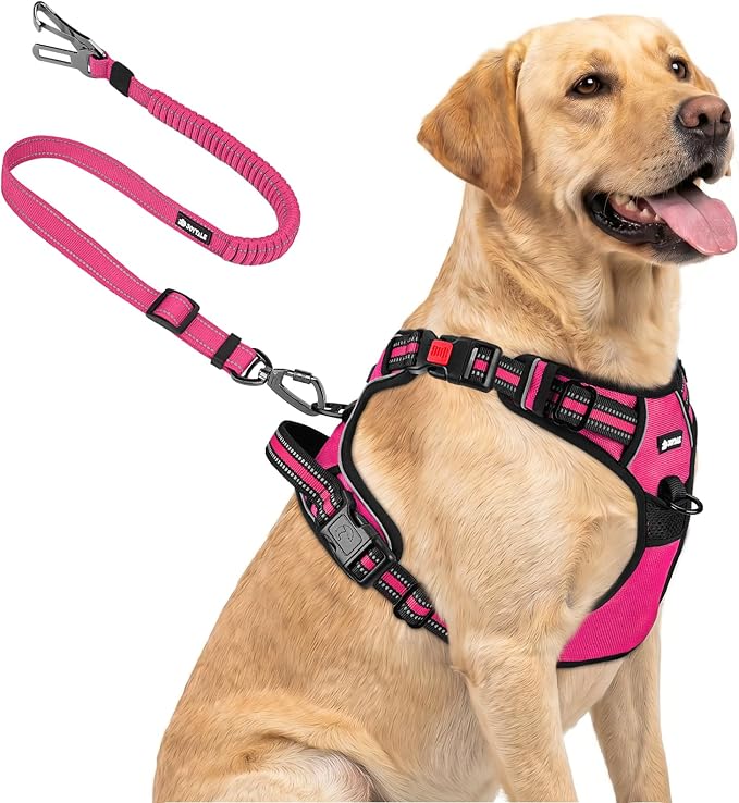 Joytale No Pull Dog Harness & Seat Belt, Easy On 3-Buckle, L, Hot Pink | Front Clip Reduces Pulling, Escape-Resistant Design, Adjustable Fit, Soft Padding for Comfort, Secure Tether for Safer Travel by Joytale