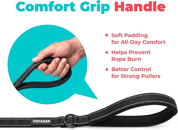 Best Pet Supplies Voyager Nylon Dog Leash - Black, Large | 5ft in Length, 1" in Width, Reflective, Soft Neoprene Handle, Heavy Duty Metal Clips for Running, Walking & Training - Image 5