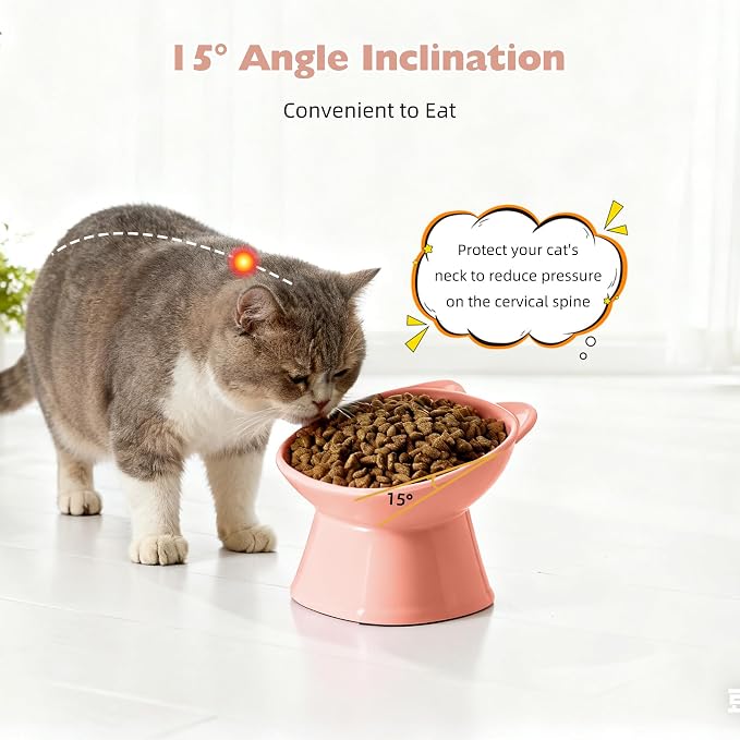 KSIA Klear Elevated Cat Bowls 2 Pack, Tilted Raised Cat Bowl for Food and Water, 4.72" Wide, Whisker Friendly Anti Vomit for Indoor Cats, Microwave and Dishwasher Safe, Pink - Image 4