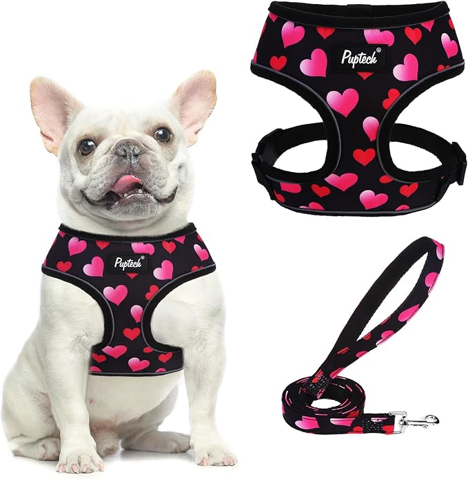 PUPTECK Small Dog Harness and Leash Set No Pull for XS XXS Sized Dogs Puppy | Escape Proof No Choke Pet Cat Adjustable Soft Padded Walking Vest by PUPTECK