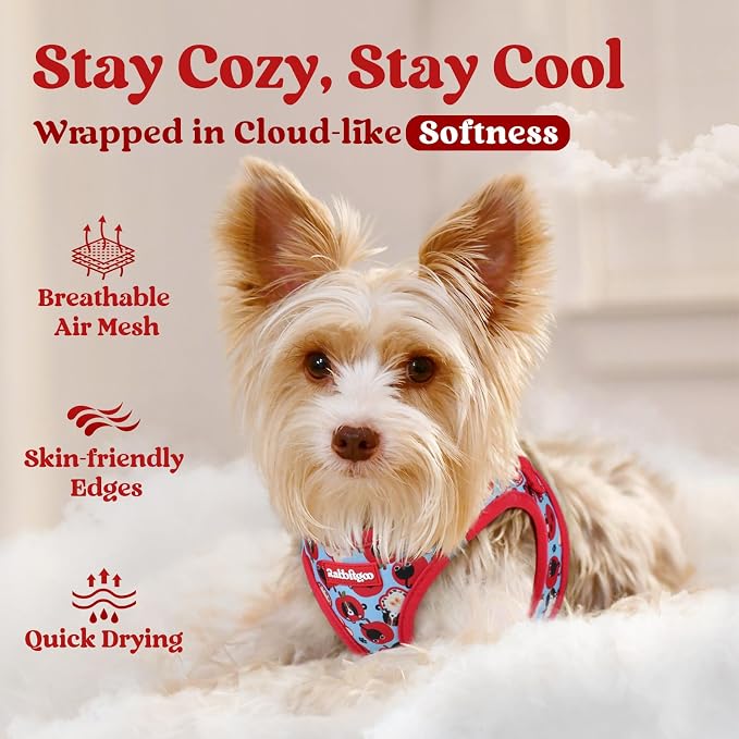 rabbitgoo Step-in Small Dog Harness, Puppy Vest for Small Sized Pet | Easy Put on and off, Lightweight, Soft, Breathable Quick-Dry Air Mesh for Comfortable Secure Walking, Apple Pups XXS - Image 3