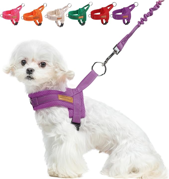 BEAUTYZOO Small Dog Harness and Leash Set, No Pull Step in Puppy Vest | Breathable Mesh with Handle, Reflective, Adjustable No Choke Escape Proof, Lightweight, Easy Control for Walking, Purple S by BEAUTYZOO