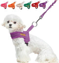 BEAUTYZOO Small Dog Harness and Leash Set, No Pull Step in Puppy Vest | Breathable Mesh with Handle, Reflective, Adjustable No Choke Escape Proof, Lightweight, Easy Control for Walking, Purple S by BEAUTYZOO