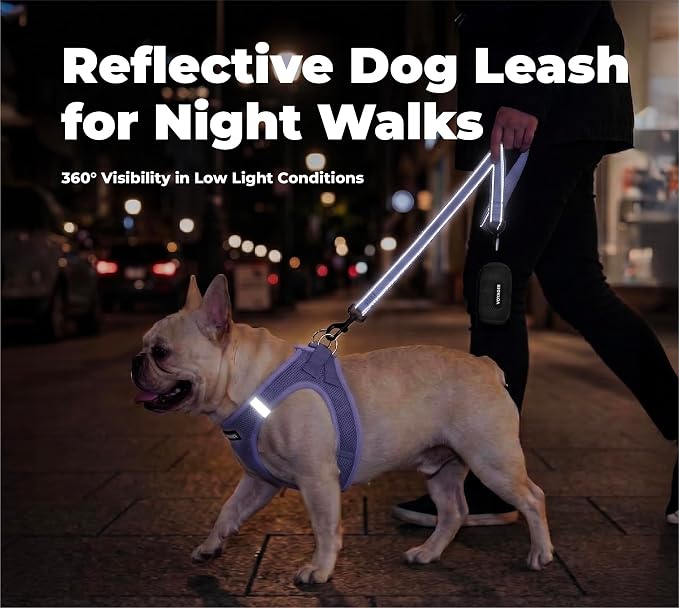 Best Pet Supplies Voyager Nylon Dog Leash - Lavender, Medium | 5ft in Length, 3/4" in Width, Reflective, Soft Neoprene Handle, Heavy Duty Metal Clips for Running, Walking & Training - Image 4