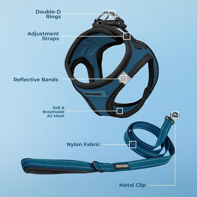 Best Pet Supplies Voyager Step-in Air All Weather Mesh Harness and Reflective Dog 5ft Leash Combo with Neoprene Handle, for Small, Medium and Large Breed Puppies - Blue/Black Trim, X-Large - Image 3