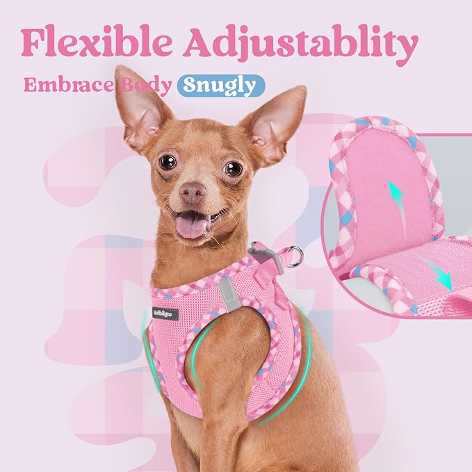 rabbitgoo Step-in Small Dog Harness, Puppy Vest for Small Sized Pet | Easy Put on and off, Lightweight, Soft, Breathable Quick-Dry Air Mesh for Comfortable Secure Walking, Pink & Plaid Trim XXS - Image 8