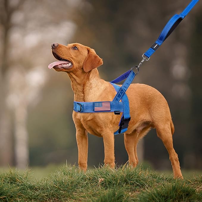 Annchwool No Pull Dog Harness with Soft Padded Handle,Reflective Strip Escape Proof and Quick Fit to Adjust Dog Harness,Easy for Training Walking for Small & Medium and Large Dogs(Blue,M) - Image 6