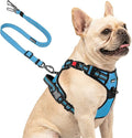 Joytale No Pull Dog Harness & Seat Belt, Easy On 3-Buckle, S, Sky Blue | Front Clip Reduces Pulling, Escape-Resistant Design, Adjustable Fit, Soft Padding for Comfort, Secure Tether for Safer Travel by Joytale