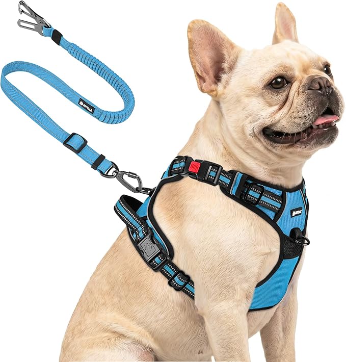 Joytale No Pull Dog Harness & Seat Belt, Easy On 3-Buckle, S, Sky Blue | Front Clip Reduces Pulling, Escape-Resistant Design, Adjustable Fit, Soft Padding for Comfort, Secure Tether for Safer Travel by Joytale