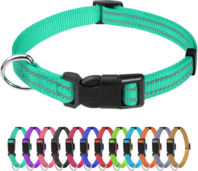 TagME Small Dog Collar, Reflective Puppy Collar, Turquoise, 3/8" Width | Lightweight, Nylon Collar for Puppies, Chihuahua, Yorkie & Teacup Dogs 5-15 Lbs, Reflective for Evening Walks, 12 Colors by TagME