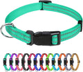 TagME Small Dog Collar, Reflective Puppy Collar, Turquoise, 3/8" Width | Lightweight, Nylon Collar for Puppies, Chihuahua, Yorkie & Teacup Dogs 5-15 Lbs, Reflective for Evening Walks, 12 Colors by TagME