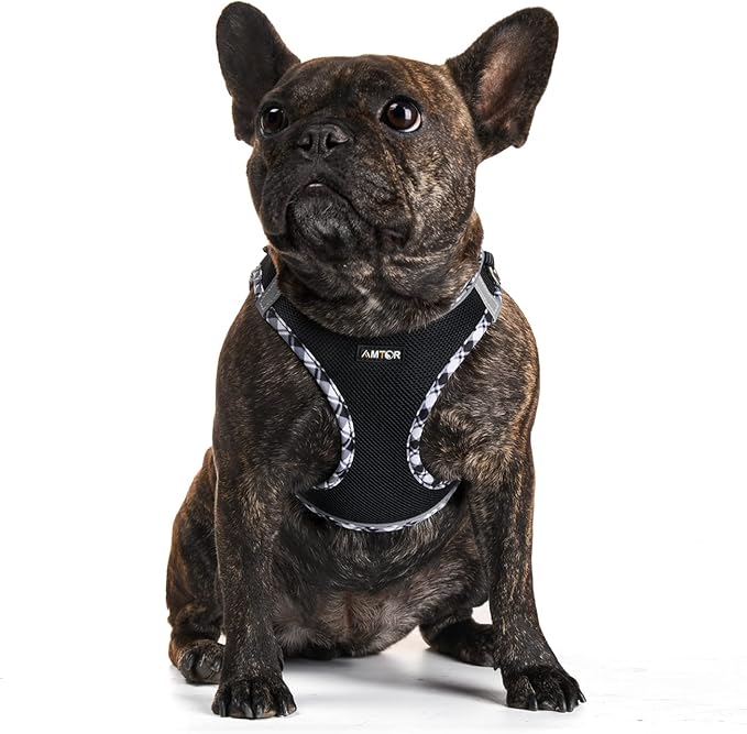 AMTOR Small Dog Harness with Leash Set, No Escape Easy Walk Puppy Harnesses for Training Walking, Step-in Reflective Soft Dogs Vest for XS S Medium Extra-Small Large Sized Dog(Blackwhite,XS) - Image 5