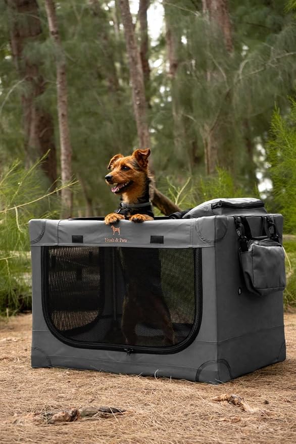 Noah & Paw Collapsible Dog Crate 42 Inch, XXL Dog Crate for XXL, XL, Large Breeds, Travel Kennel for Car, Includes Pet Mat for Pet Cage, 2 Storage Pockets, Handbag, 10mm Locking Zippers 42 * 31 * 31 - Image 7