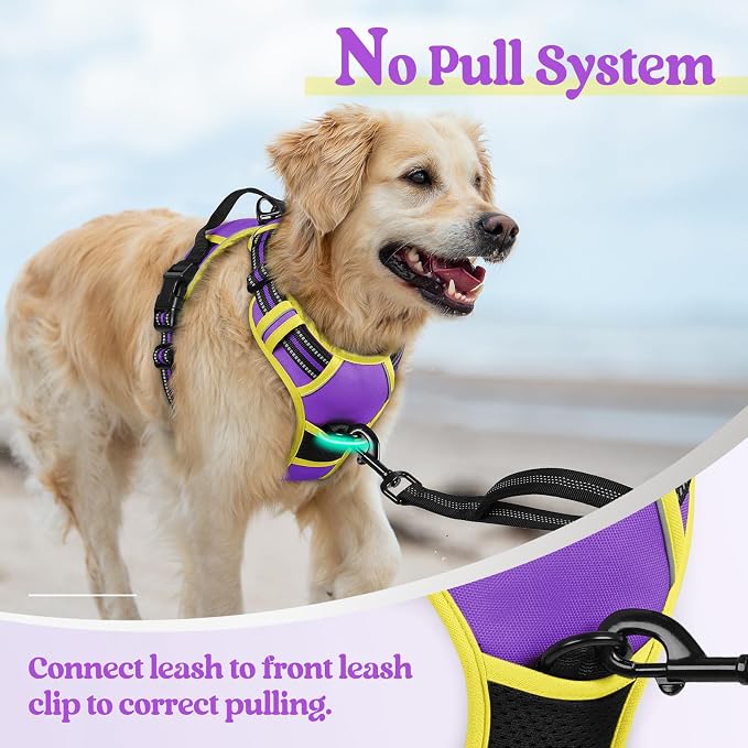 rabbitgoo Dog Harness, No Pull for Small Dogs with 2 Leash Clips, Pet Vest | No Choke with Handle, Adjustable Soft Padded, Reflective, Easy Control for Walking, Purple & Yellow, Small - Image 5