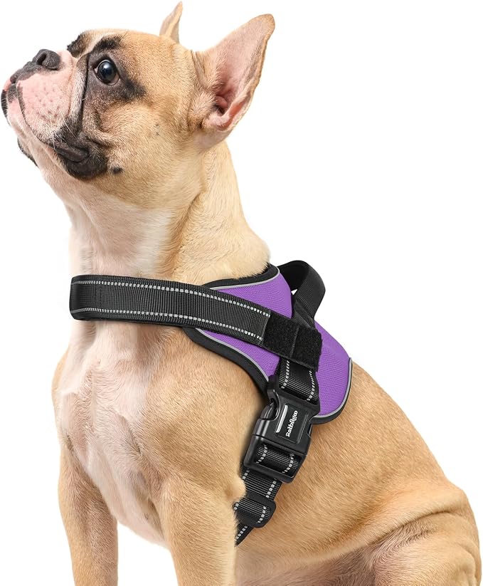 rabbitgoo No Pull No Choke Pet Vest, Adjustable Pet Harness with Molle | Small Sized Dog Harness, Reflective, Easy Wearing with One Buckle for Walking, Training, Purple, S by rabbitgoo